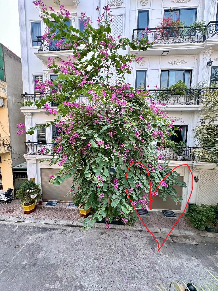 PHÚC ĐỒNG,LONG BIÊN 16tỷ 60m,PHÂN LÔ Ô TÔ VỈA HÈ,VỪA Ở VỪA KINH DOANH CHO THUÊ ĐỈNH - Ảnh 1