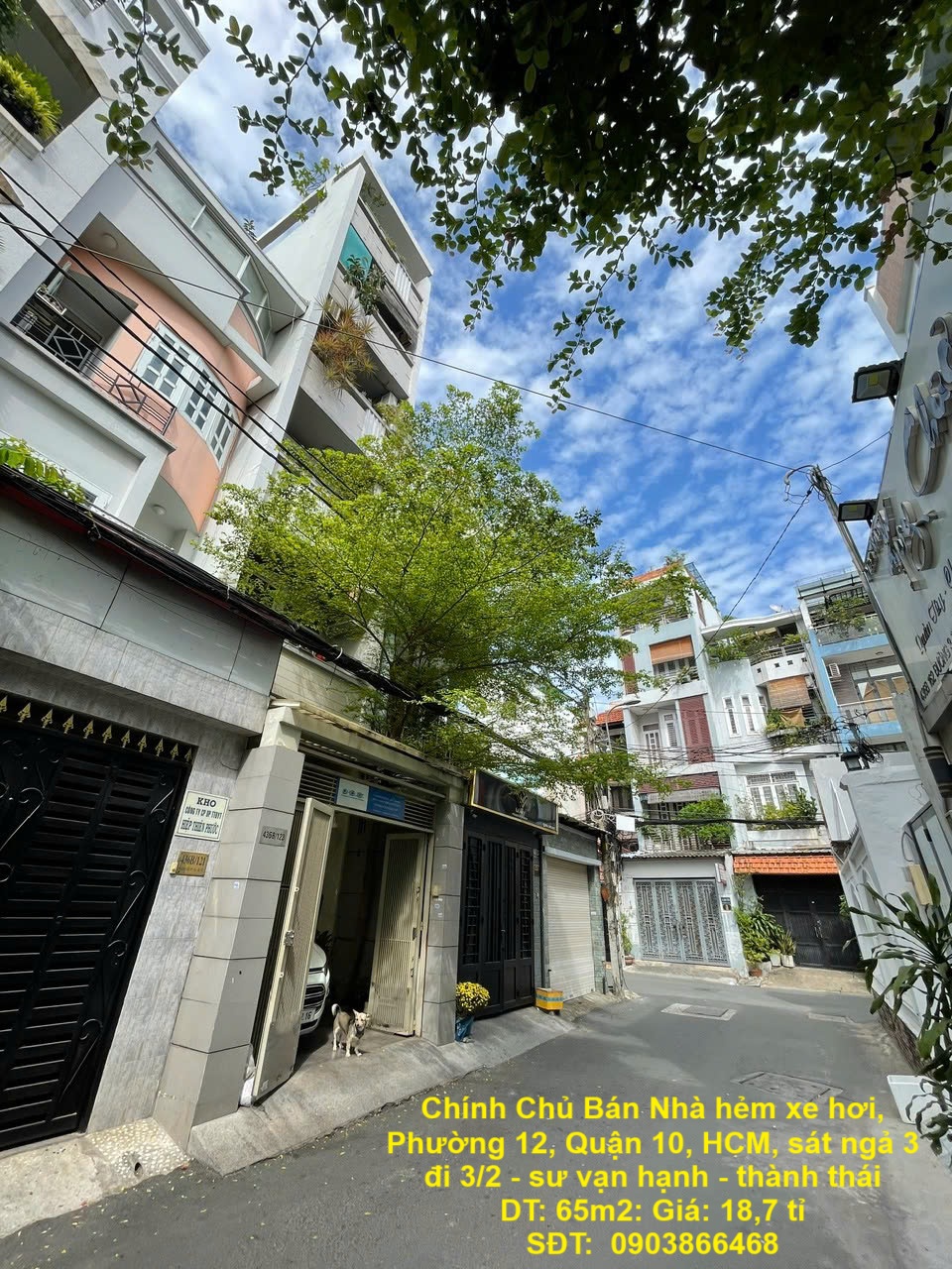 Chính Chủ Bán Nhà hẻm xe hơi, Phường 12, Quận 10, HCM, sát ngả 3 đi 3/2 - sư vạn hạnh - thành thái - Ảnh chính