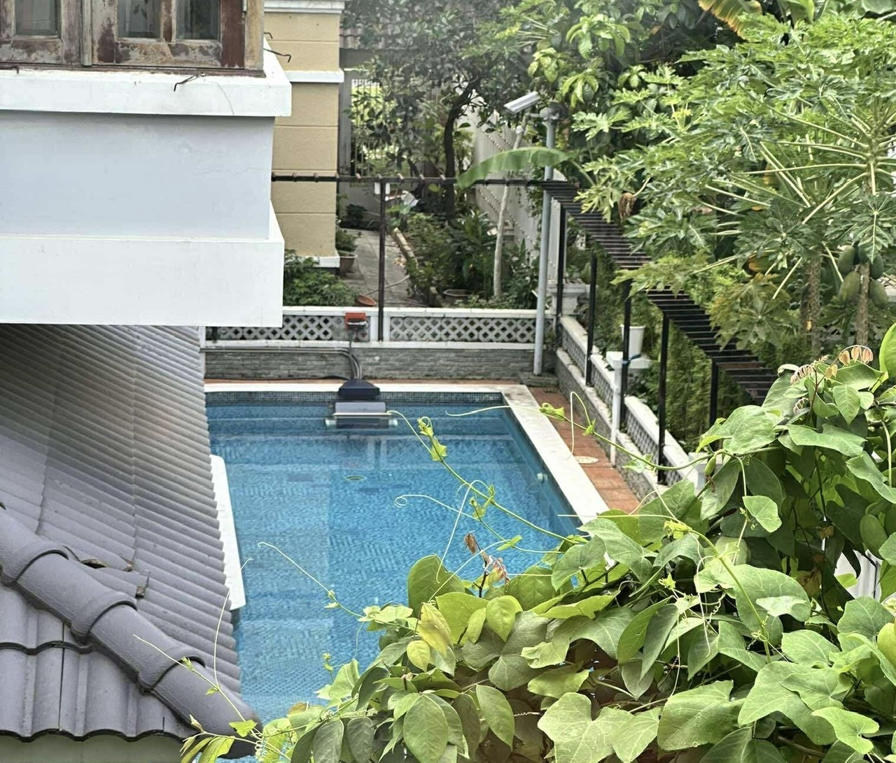 BÁN BIỆT THỰ CAO CẤP NAM PHÚ – Q.7 – HỒ BƠI RIÊNG – VIEW CÔNG VIÊN – KHU COMPOUND KHÉP KÍN - Ảnh 3