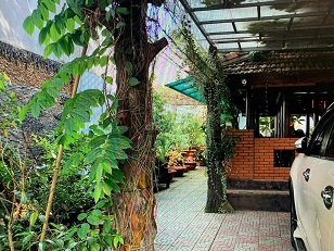 CẦN BÁN NHÀ VƯỜN ĐẸP - MẶT TIỀN ĐƯỜNG LIÊN ẤP 1-2-3, VĨNH LỘC B, BÌNH CHÁNH - Ảnh 4