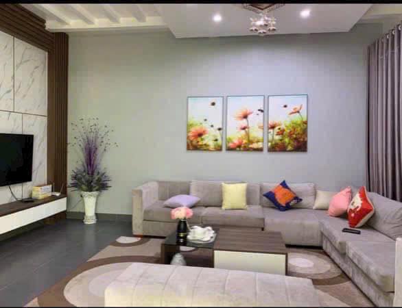 Bán căn biệt thự ngõ phố Bình Lộc, ph Lê Thanh Nghị, TP HP mới, 220.5m2, mt 12m, chỉ 8 tỷ - Ảnh 3