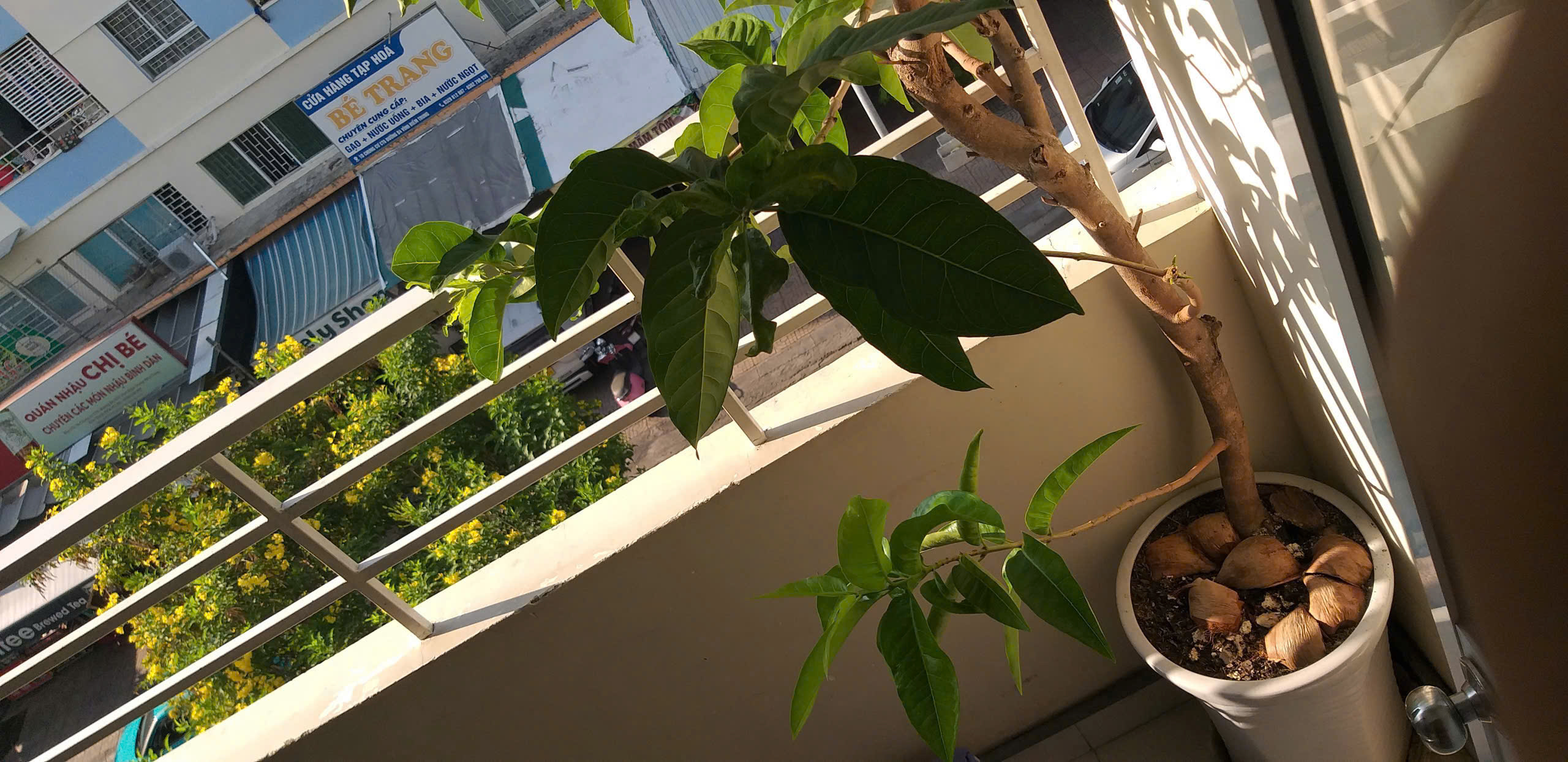 BÁN CĂN HỘ CT5 – VĨNH ĐIỀM TRUNG, NHA TRANG<br>Diện tích: 59,4m² Giá bán: 2,1 tỷ lh eThanh - Ảnh chính