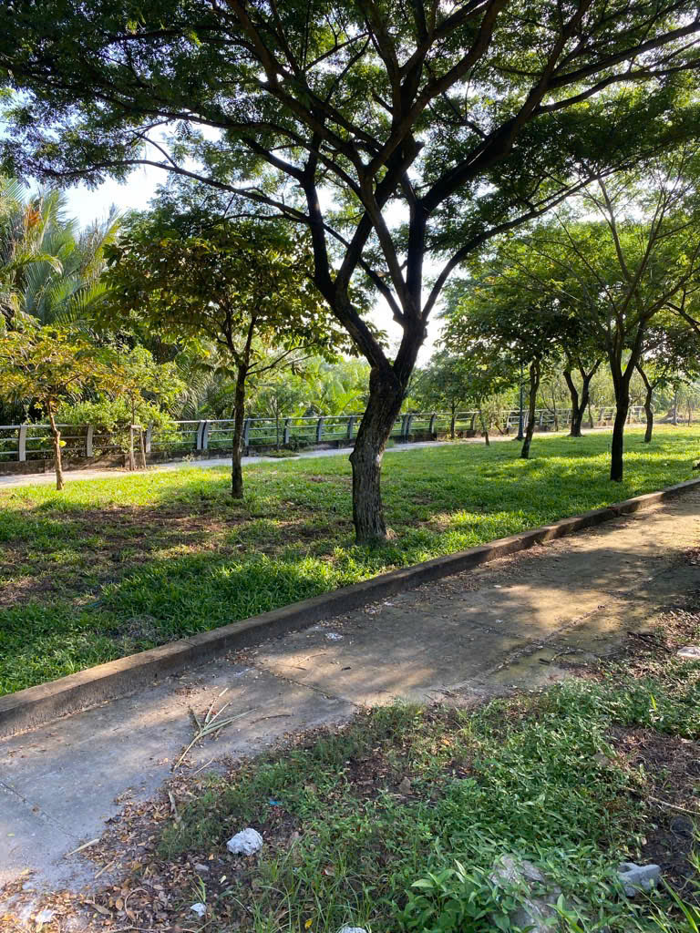 BÁN ĐẤT KDC ĐƯỜNG NHỰA 7M - VEN SÔNG MÁT MẺ - LÔ GÓC 2 MẶT TIỀN - TRỰC DIỆN SÔNG - Ảnh 1