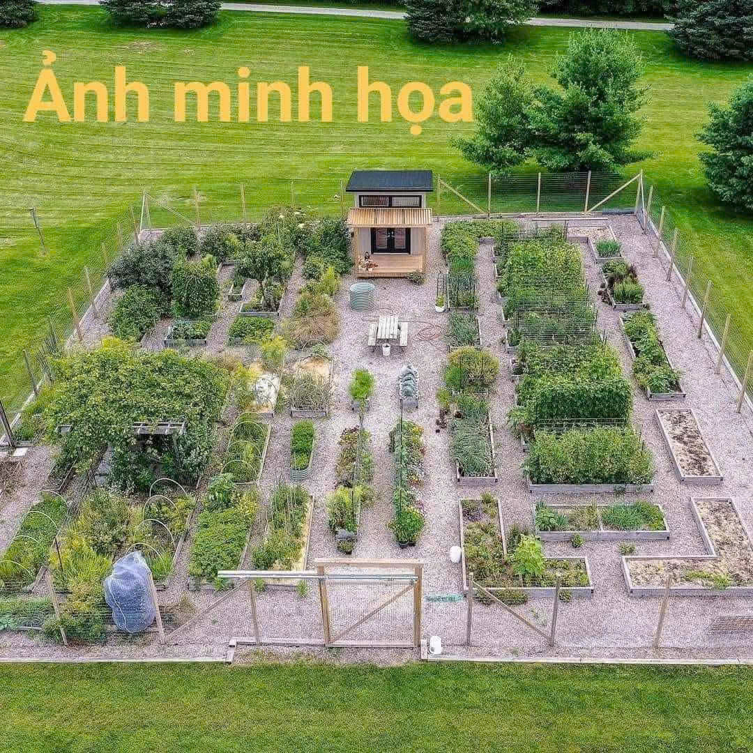 BÁN LÔ ĐẤT HOÀ KHÁNH MỚI NHẬP GẦN KCN CAO ĐÀ NẴNG - Ảnh chính