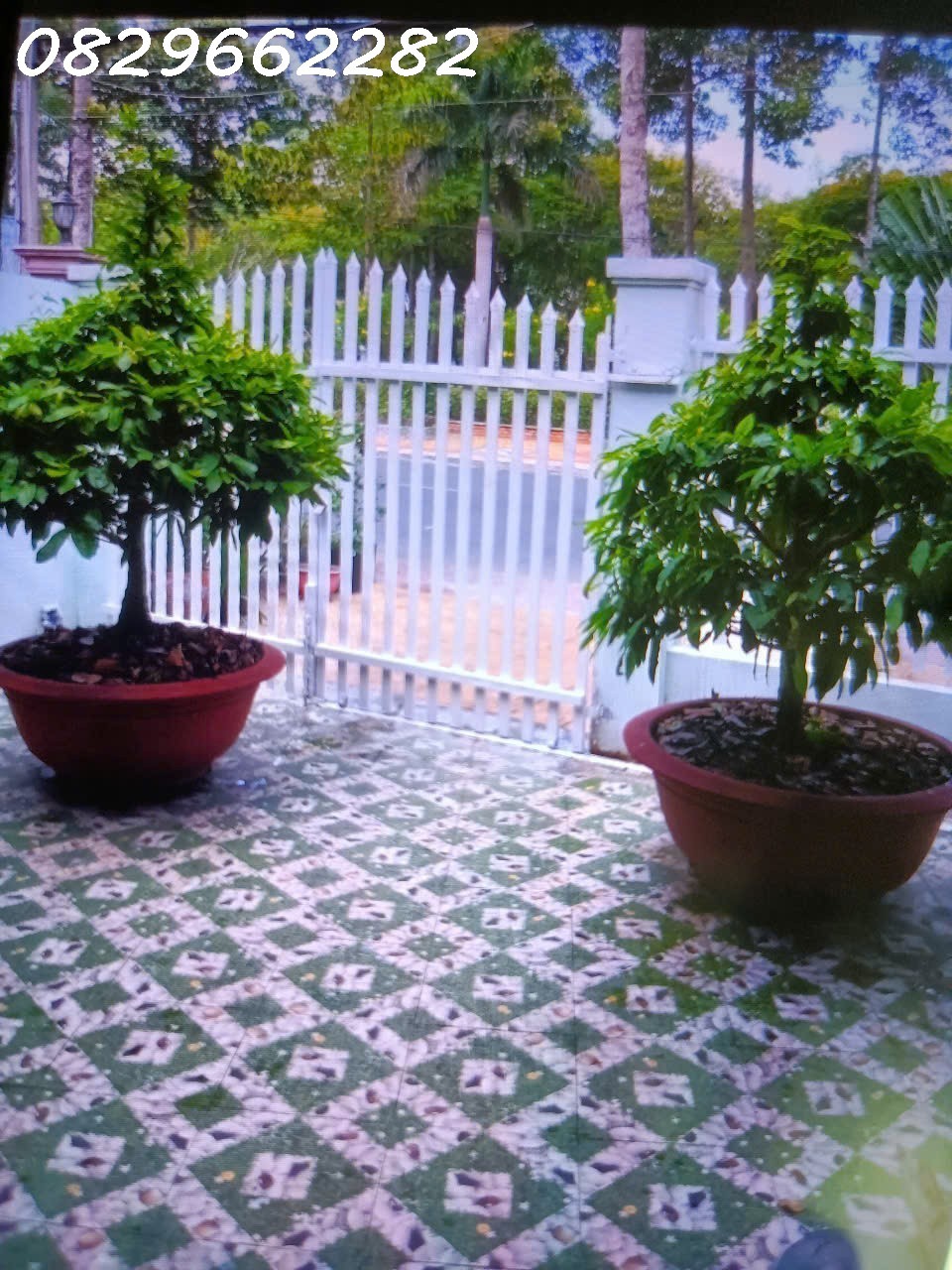 Bán Nhà Mặt Phố Đường Tôn Đức Thắng Sa Đéc- Lá Phổi Xanh Ngay Lòng Thành Phố Ngàn Hoa. - Ảnh chính