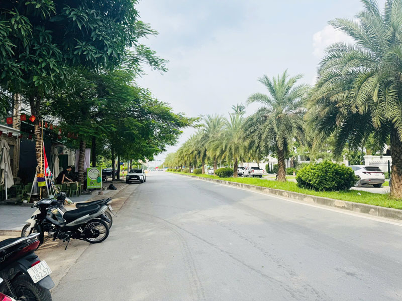 Bán nhà C4 mặt phố Đào Đình Luyện 88m2, đối diện Vinhomes The Harmony, kinh doanh tốt, tiện ở và đầu - Ảnh 3