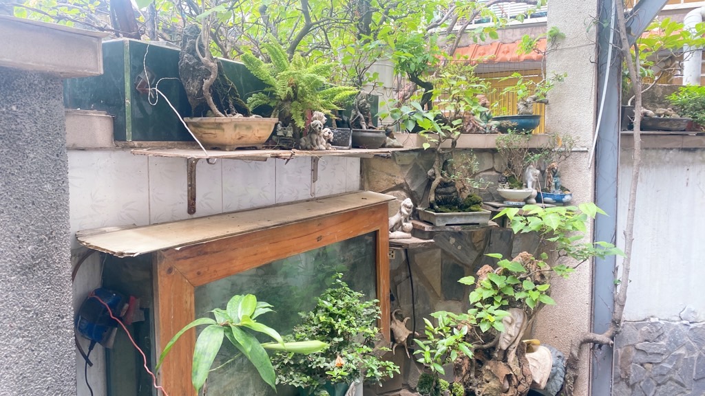 Bán nhà một đời chủ, CMT8, Quận 3 - 90m2 ngang lớn 6m chỉ 20m ra MT giá nhỉnh 7T - Ảnh 1