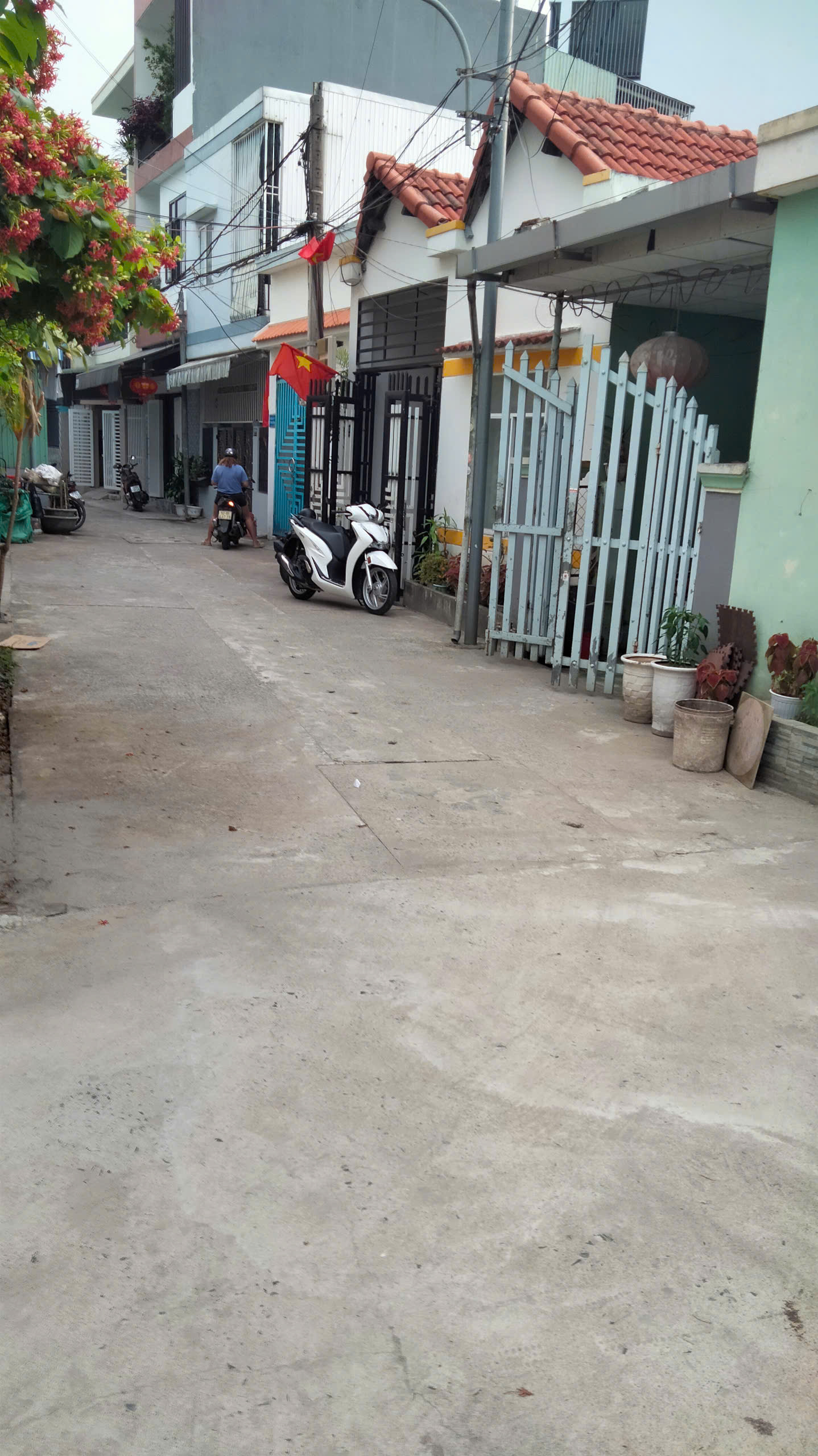 BÁN LÔ ĐẤT 182M2, 3 MẶT KIỆT ÔTÔ TÔN ĐỨC THẮNG, GẦN ĐH SƯ PHẠM, HÒA KHÁNH NAM – CHỈ 4,3 TỶ - Ảnh 1
