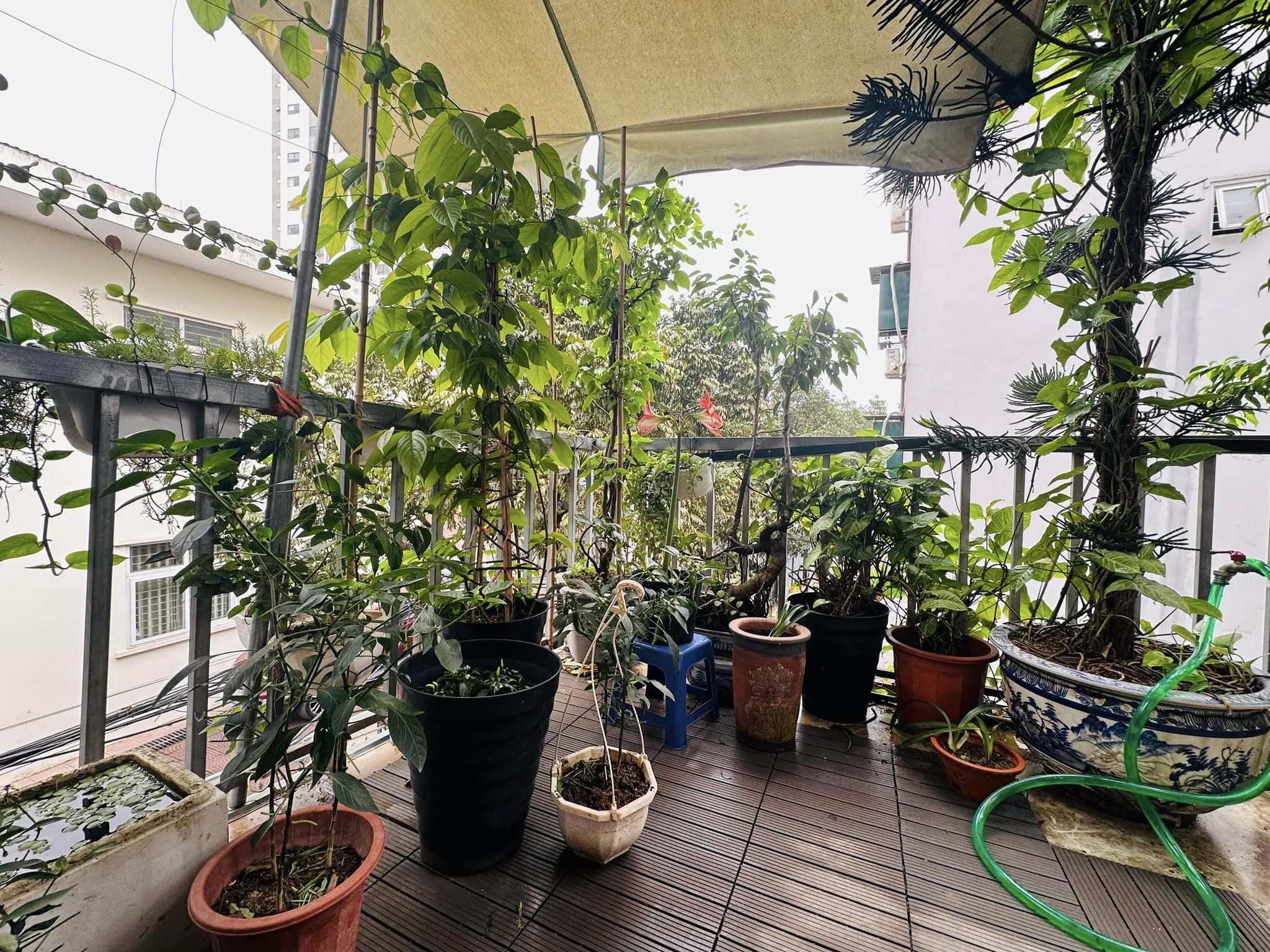 NHÀ ĐẸP XUÂN ĐỈNH – 30m2 x 5 TẦNG – CÁCH THPT XUÂN ĐỈNH 100M – GIÁ 6,9 TỶ - Ảnh 2