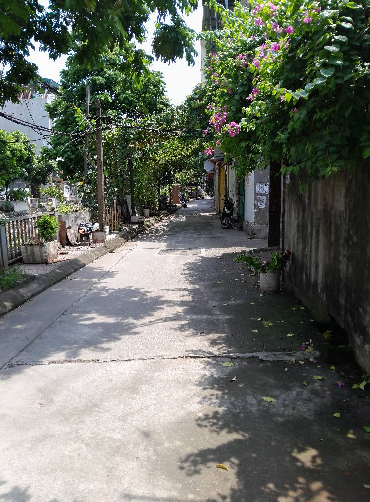 NHÀ TỔ 3 ĐA SỸ - NGÕ NÔNG RỘNG THOÁNG - GẦN Ô TÔ - DT 31M 4 TẦNG 3 NGỦ ĐỦ CÔNG NĂNG - Ảnh chính