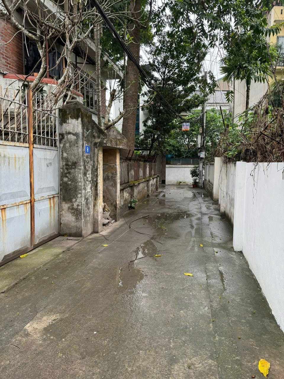 Giảm giá, Nhà ngõ 500 Ngọc Thụy, Long Biên, 50m2, 4 Tầng, Lô Góc, Ô Tô, Nhỉnh 8 Tỷ - Ảnh 1