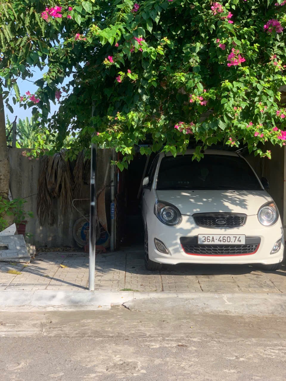 CHÍNH CHỦ CẦN BÁN LÔ ĐẤT Thổ Cư 2 Mặt Tiền Thị Trấn Rừng Thông, Huyện Đông Sơn, Thanh Hóa. - Ảnh 2
