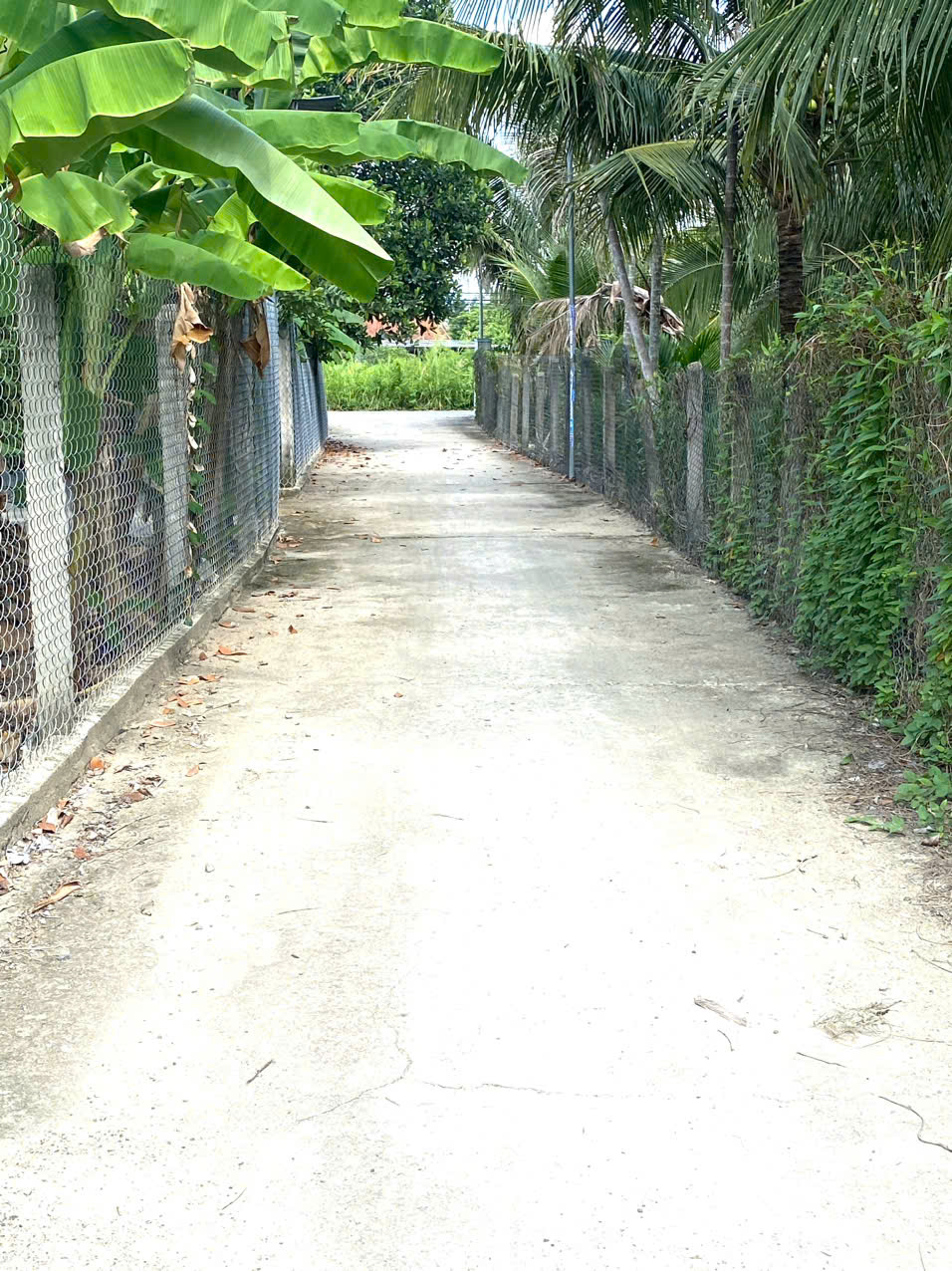 NHÀ 1 TRỆT 1 LẦU ĐẸP TẠI DIÊN KHÁNH KHÁNH HOÀ CẦN BÁN - Ảnh 4