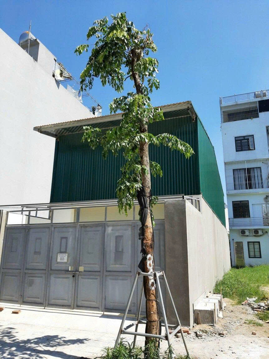Chính chủ cho thuê nhà khu đô thị Nguyên Khê, Đông Anh - Ảnh chính