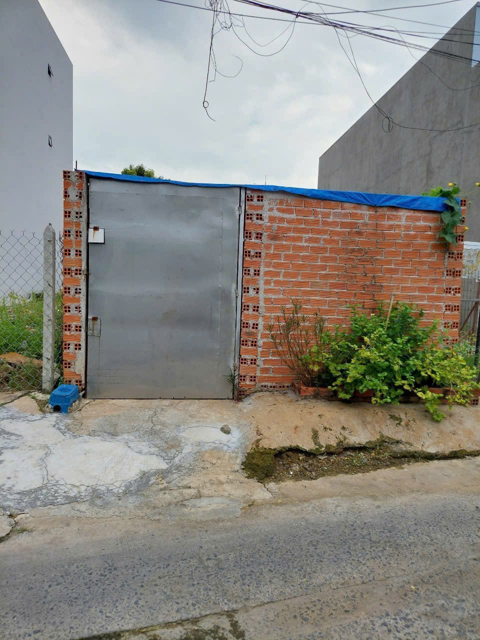 GẤP- CHÍNH CHỦ CẦN BÁN NHANH LÔ ĐẤT TẠI PHƯỜNG CHÁNH NGHĨA – TP. THỦ DẦU MỘT – BÌNH DƯƠNG - Ảnh chính