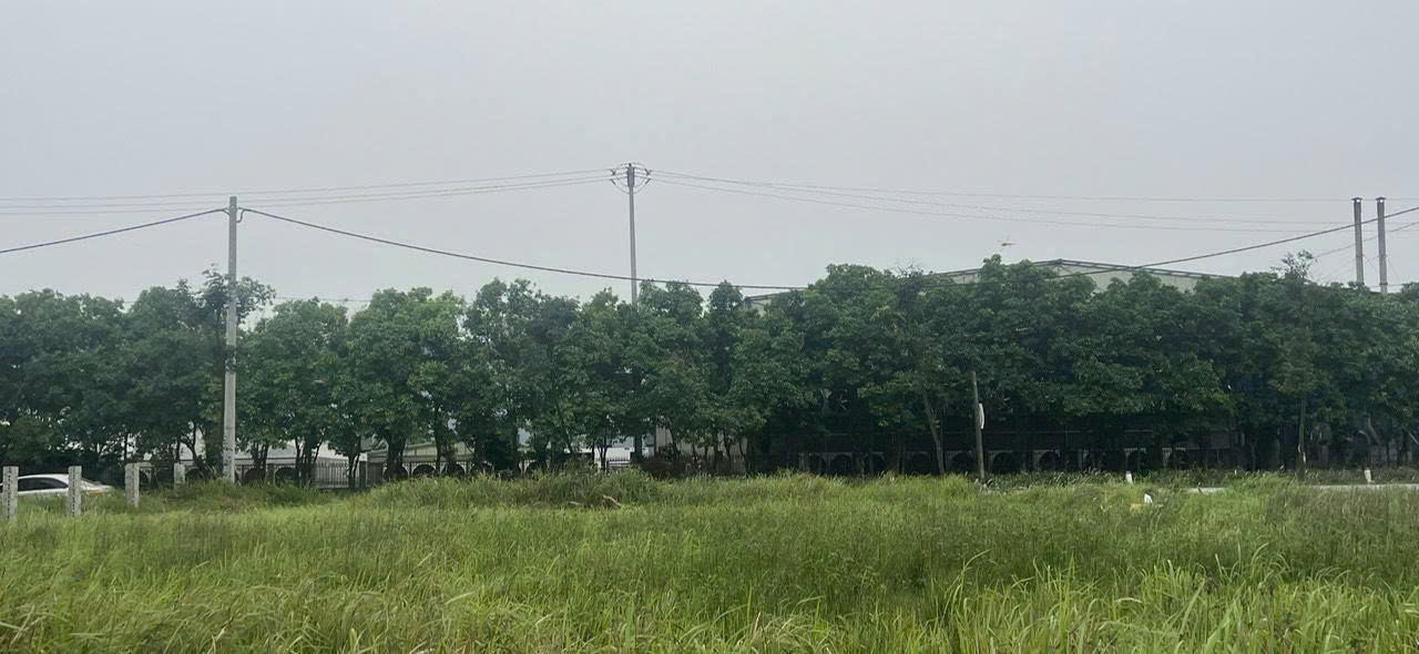 CƠ HỘI SỞ HỮU LÔ ĐẤT ĐẤU GIÁ ĐẸP – VỊ TRÍ VÀNG TẠI LỆ XÁ, TIÊN LỮ, HƯNG YÊN - Ảnh 3