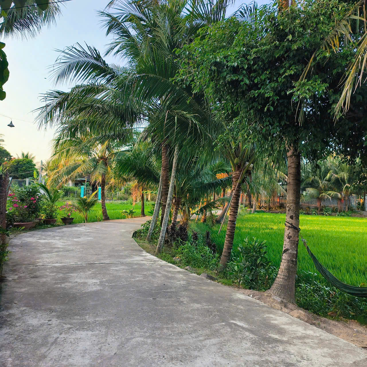 CL-BÁN LÔ ĐẤT DIÊN TOÀN (cũ), DIÊN KHÁNH. - Ảnh 2
