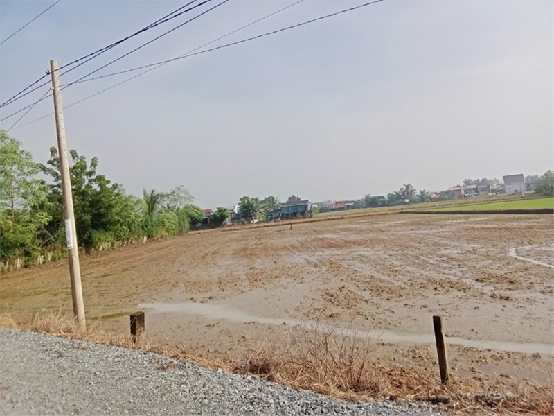 Cần Bán Đất Nền Thổ Cư  200m2 CHỈ VỚI 1,4 tỷ tại Xã Tân Lân, Huyện Cần Đước, Long An. - Ảnh 1