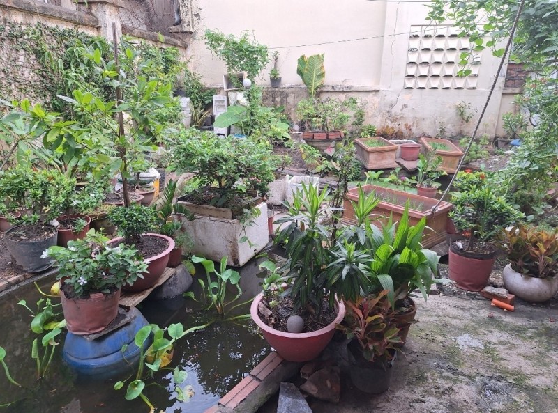 Bán nhà ngõ Trần Quang Khải, Hiệp Phú, Q.9, 160m2, 3 tầng, 3PN, SH, 11.35  tỷ. - Ảnh chính