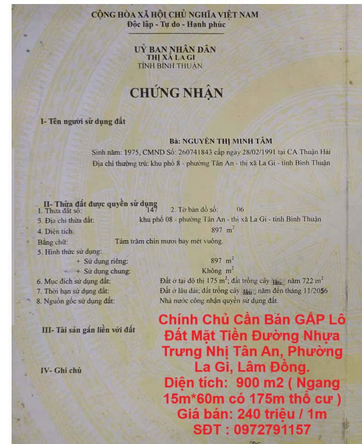 Chính Chủ Cần Bán GẤP Lô Đất Mặt Tiền Đường Nhựa Trưng Nhị Tân An, Phường La Gi, Lâm Đồng. - Ảnh chính