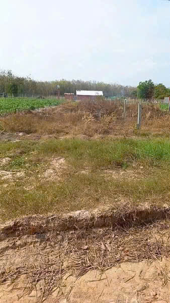 💥 490 TRIỆU – BÁN GẤP 2000m² ĐẤT GẦN ĐƯỜNG 65M 💥 - Ảnh 1
