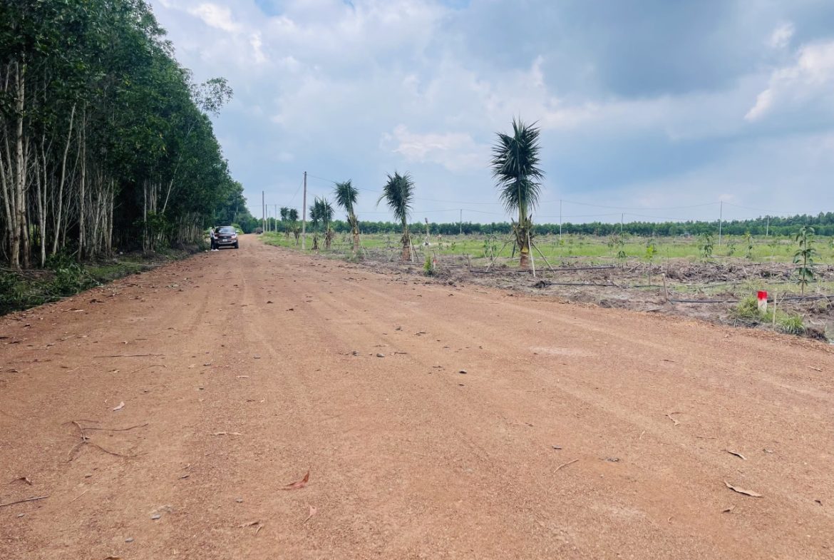 💥 250 TRIỆU – 1000m² ĐẤT NGAY ĐƯỜNG XUYÊN TÂM ĐỒNG PHÚ 💥 - Ảnh chính