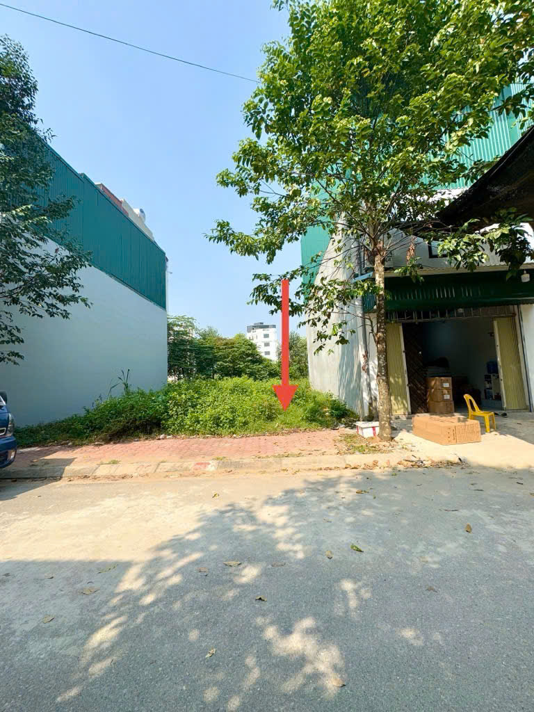 ✅ĐẤT ĐẤU GIÁ - PHÚ LƯƠNG - HÀ ĐÔNG - PHÂN LÔ - Ô TÔ TRÁNH - VỈA HÈ - KINH DOANH - TRƯỚC MẶT LÀ VƯỜN - Ảnh 1