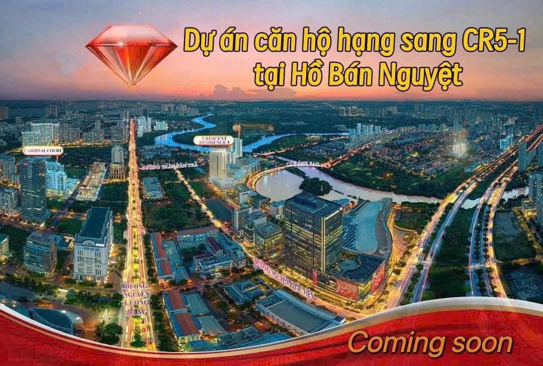 BẢNG GIÁ Dự Án The Regency Phú Mỹ Hưng 0901323786 MS MỸ LINH PKD PHÚ MỸ HƯNG - Ảnh 3