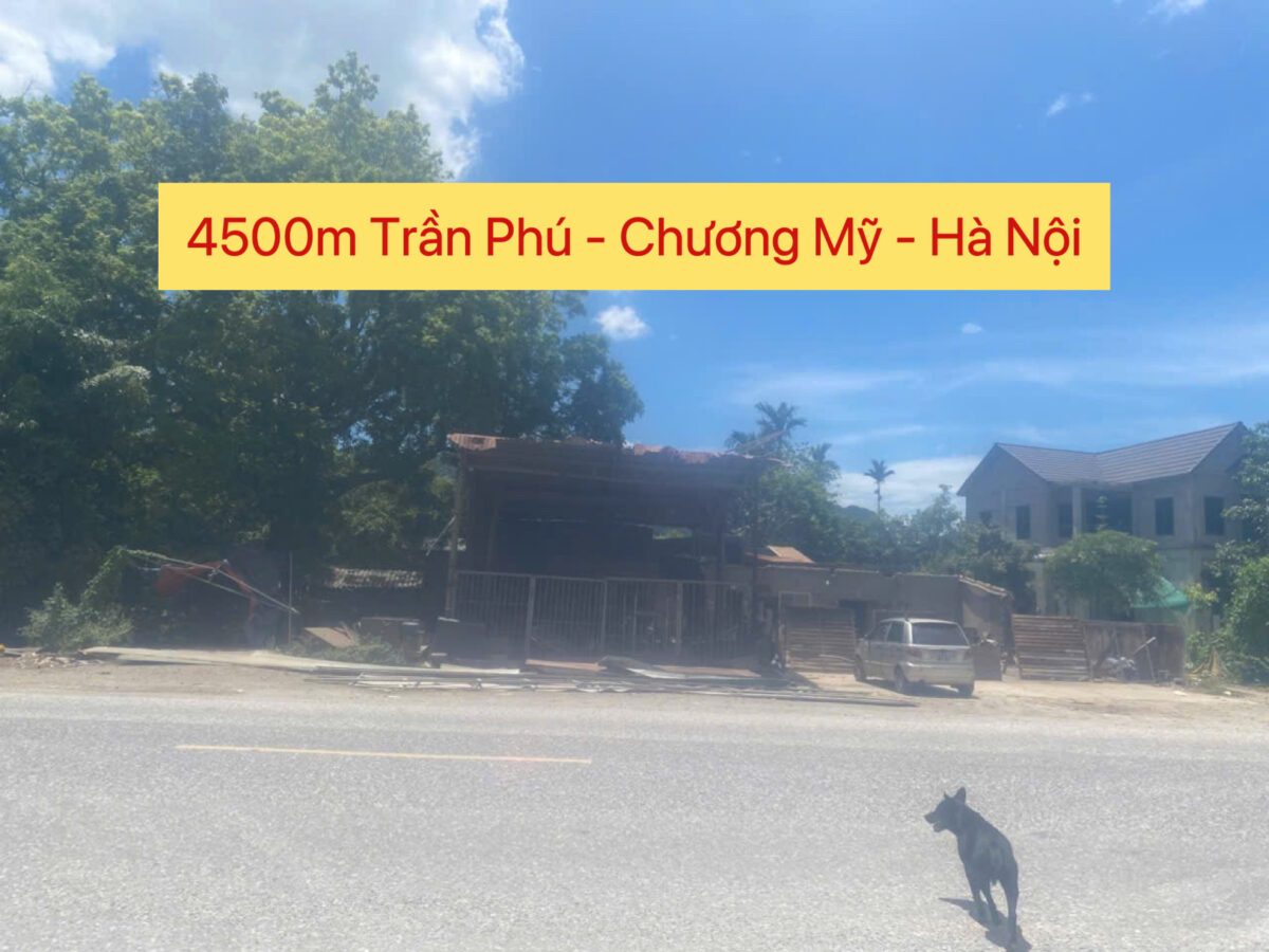 CHÍNH CHỦ CẦN BÁN LÔ ĐẤT 4500M TẠI MẶT ĐƯỜNG HỒ CHÍ MINH-TRẦN PHÚ-CHƯƠNG MỸ-HÀ NỘI - Ảnh chính