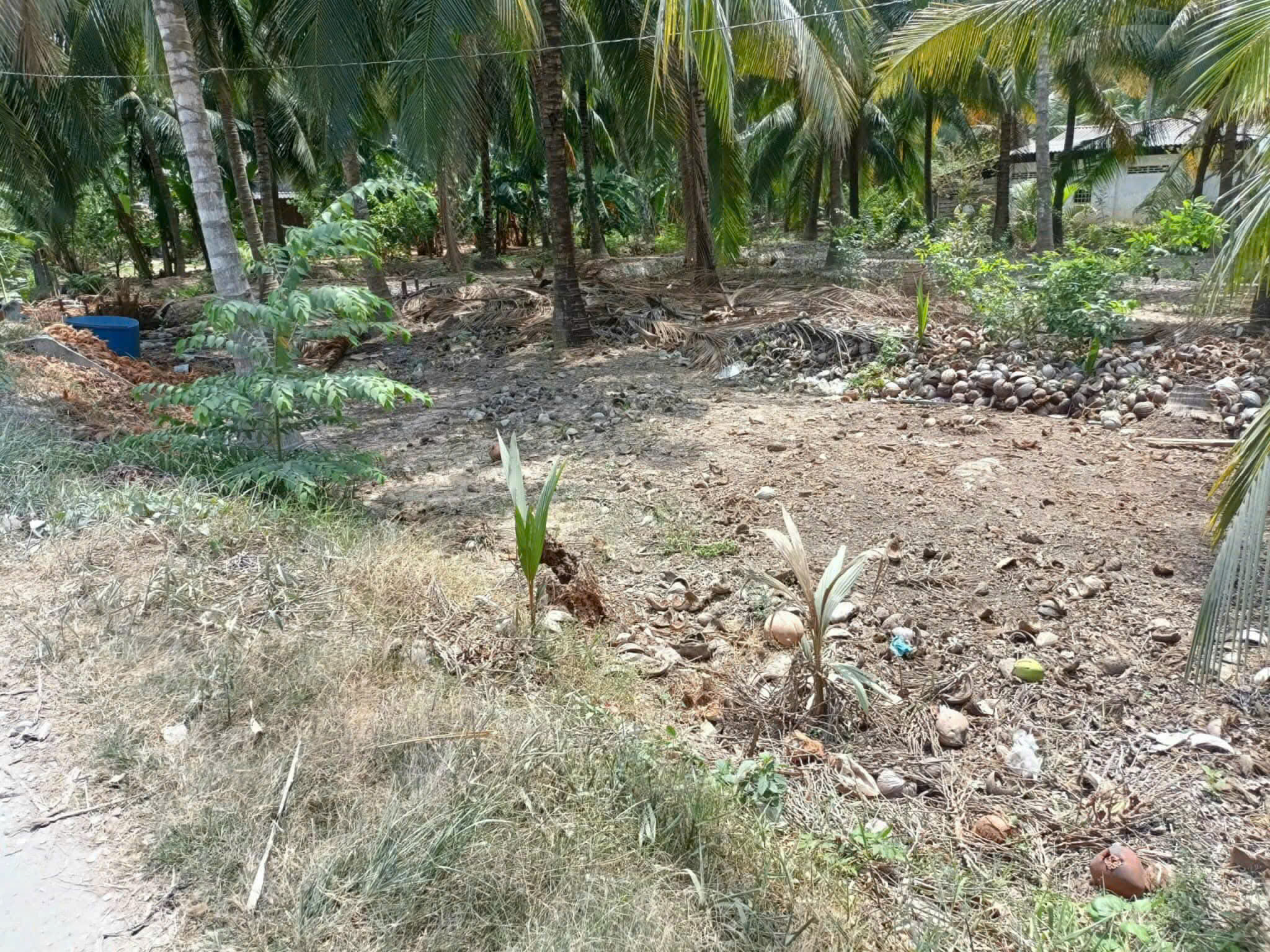 Bán 3 công đất view sông lớn 2 sổ riêng - mặt tiền đường xe tải - Ảnh chính