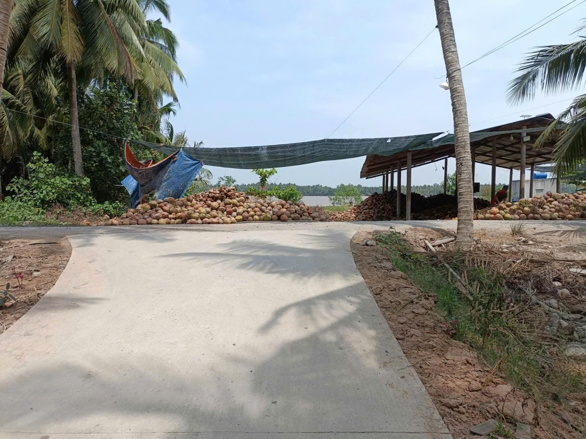 Bán 3 công đất view sông lớn 2 sổ riêng - mặt tiền đường xe tải - Ảnh 1