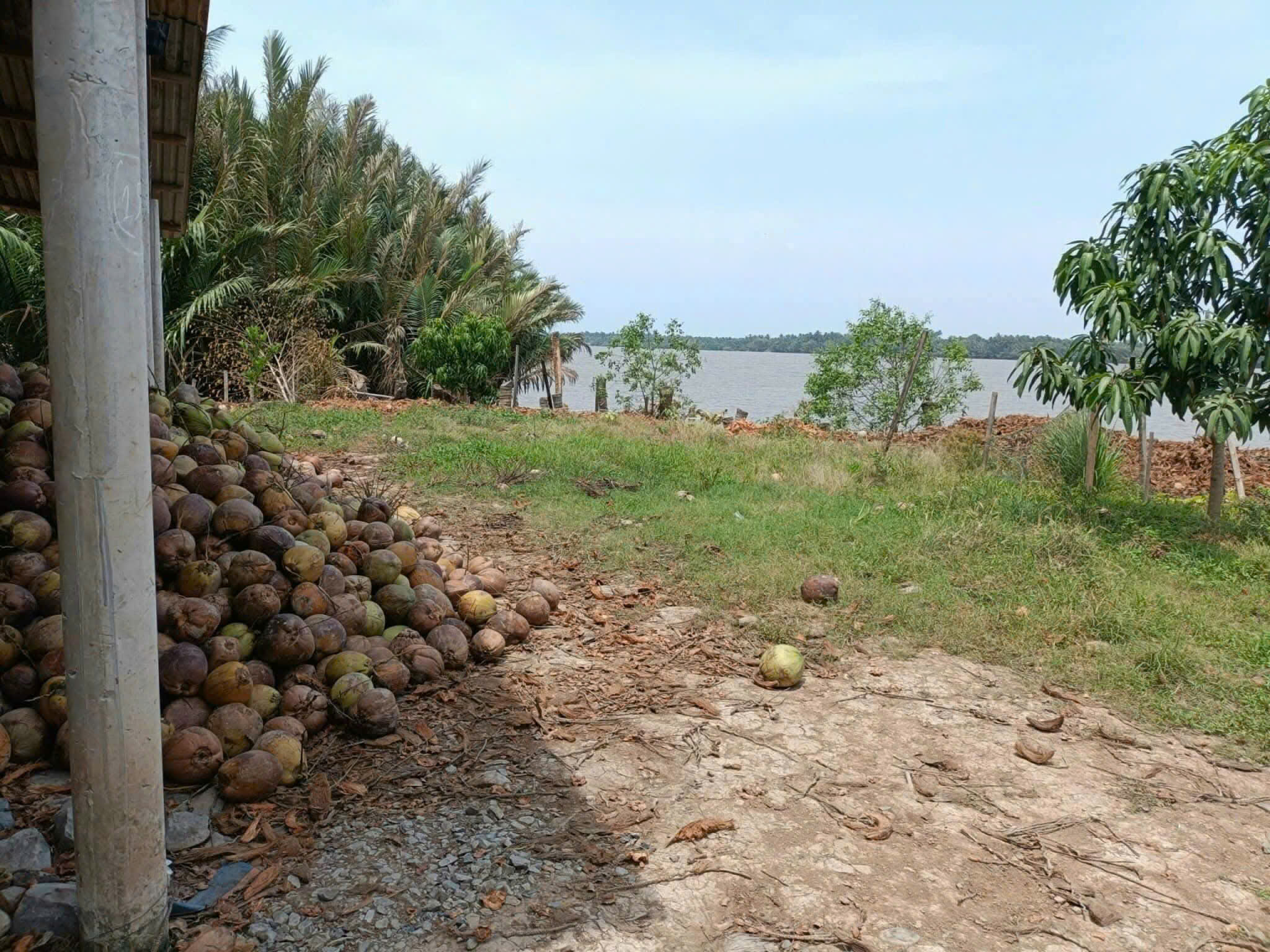 Bán 3 công đất view sông lớn 2 sổ riêng - mặt tiền đường xe tải - Ảnh 2