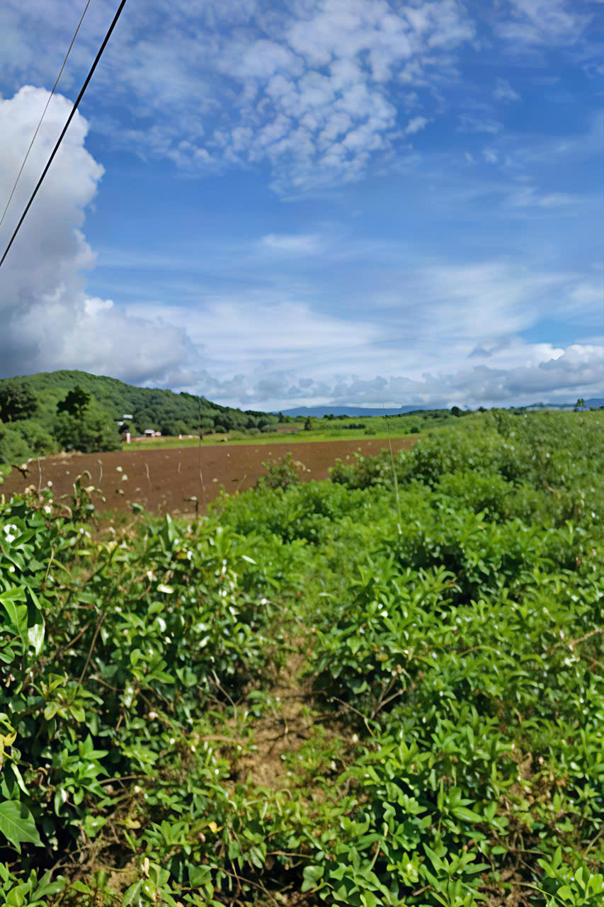 BÁN LÔ ĐẤT ĐẸP – VỊ TRÍ TRUNG TÂM ĐỨC TRỌNG – GIÁ ĐẦU TƯ - Ảnh chính