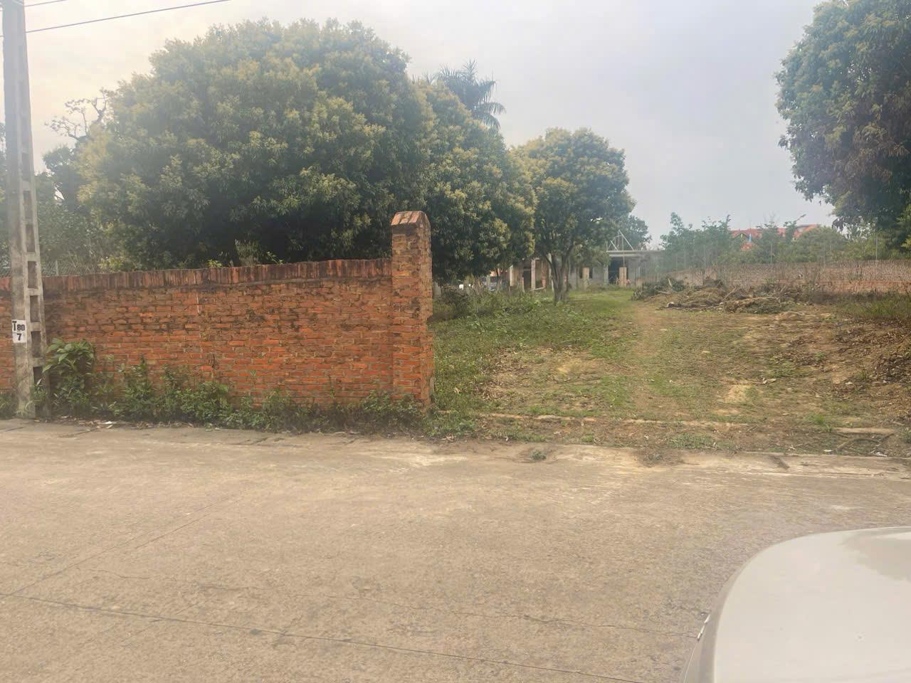 ĐẤT ĐẸP - GIÁ TỐT - Vị Trí Đắc Địa Tại Xã Ngọc Thanh, Phúc Yên, Vĩnh Phúc - Ảnh chính