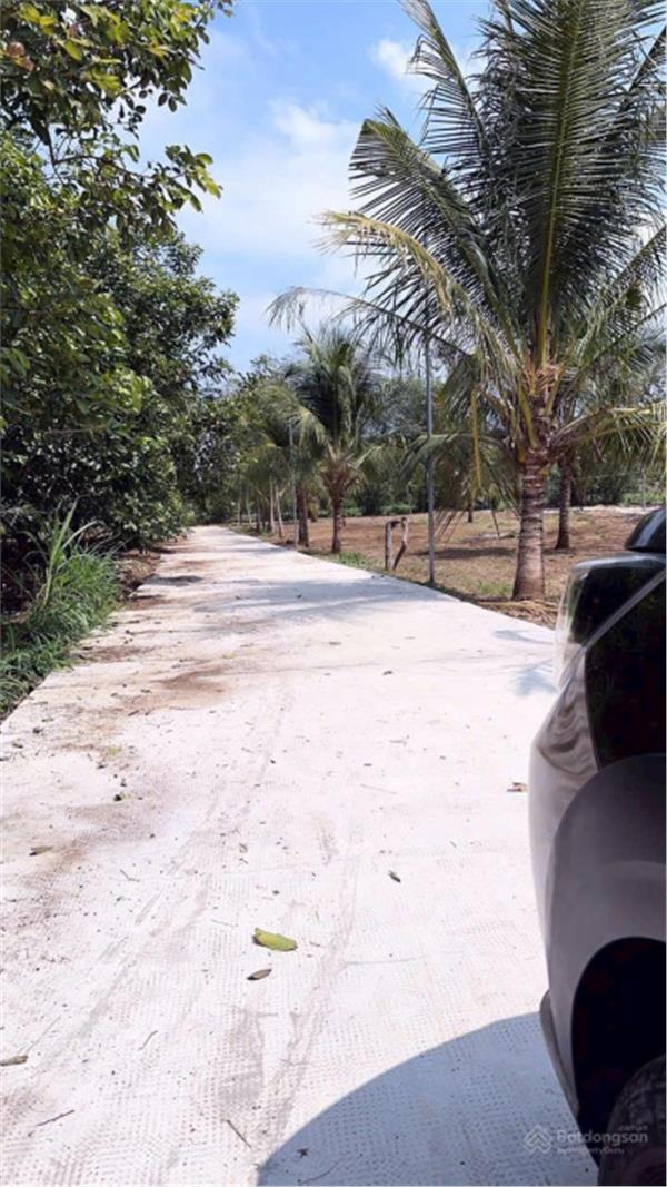 Cơ hội đầu tư độc tôn: cần bán  Đất sổ hồng 580m² - ngay cổng B sân bay quốc tế Long Thành chỉ 4 tỷ - Ảnh chính