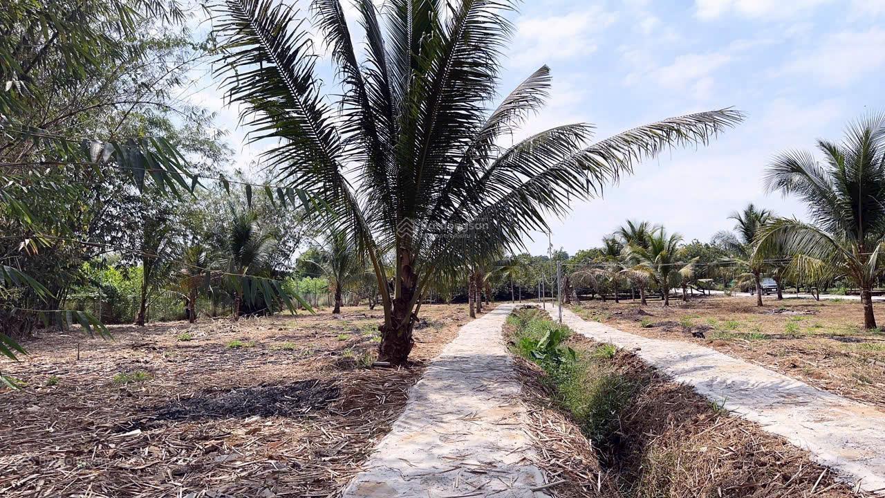 Cơ hội đầu tư độc tôn: cần bán  Đất sổ hồng 580m² - ngay cổng B sân bay quốc tế Long Thành chỉ 4 tỷ - Ảnh 1