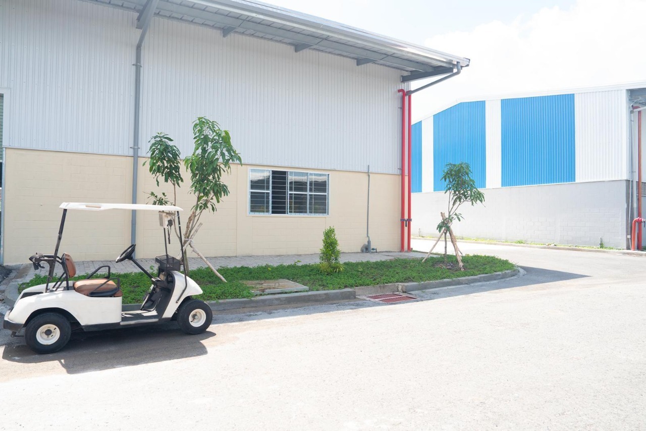 🏢 CHO THUÊ KHO XƯỞNG – VỊ TRÍ TẠI THƯỜNG TÍN - Ảnh 3