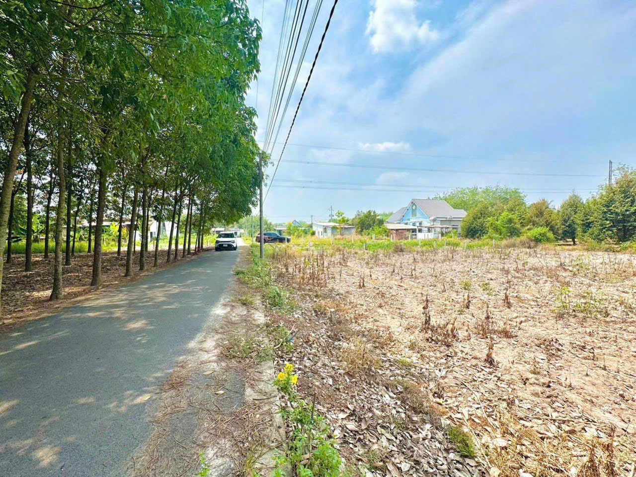 🏡 Bán 200m² thổ cư 100% giá 250 triệu, gần KCN, đường nhựa 7m ⚡ - Ảnh chính