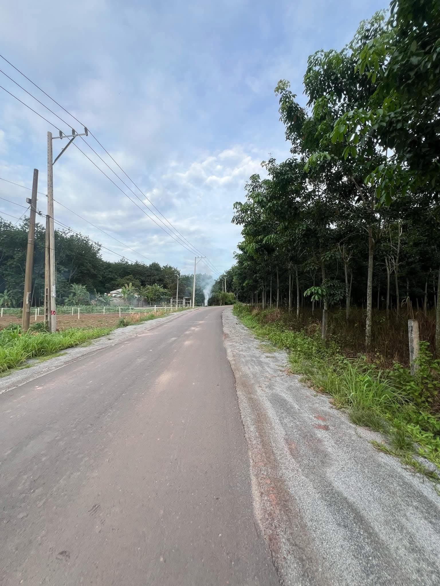 🏡 Bán 200m² thổ cư 100% giá 250 triệu, gần KCN, đường nhựa 7m ⚡ - Ảnh 2