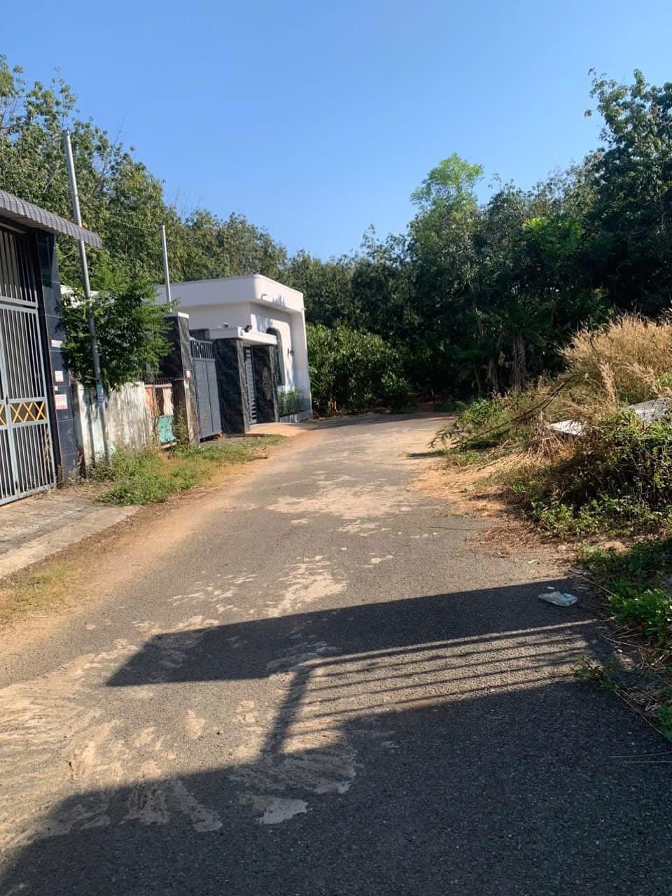🌳 Bán gấp 200m² giá 250 triệu, thổ cư 100%, đường nhựa 7m 📍 - Ảnh 1