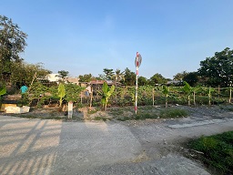 CHÍNH CHỦ BÁN ĐẤT PHƯỚC THIỀN – NGAY VÒNG XOAY BẾN CAM - Ảnh 3