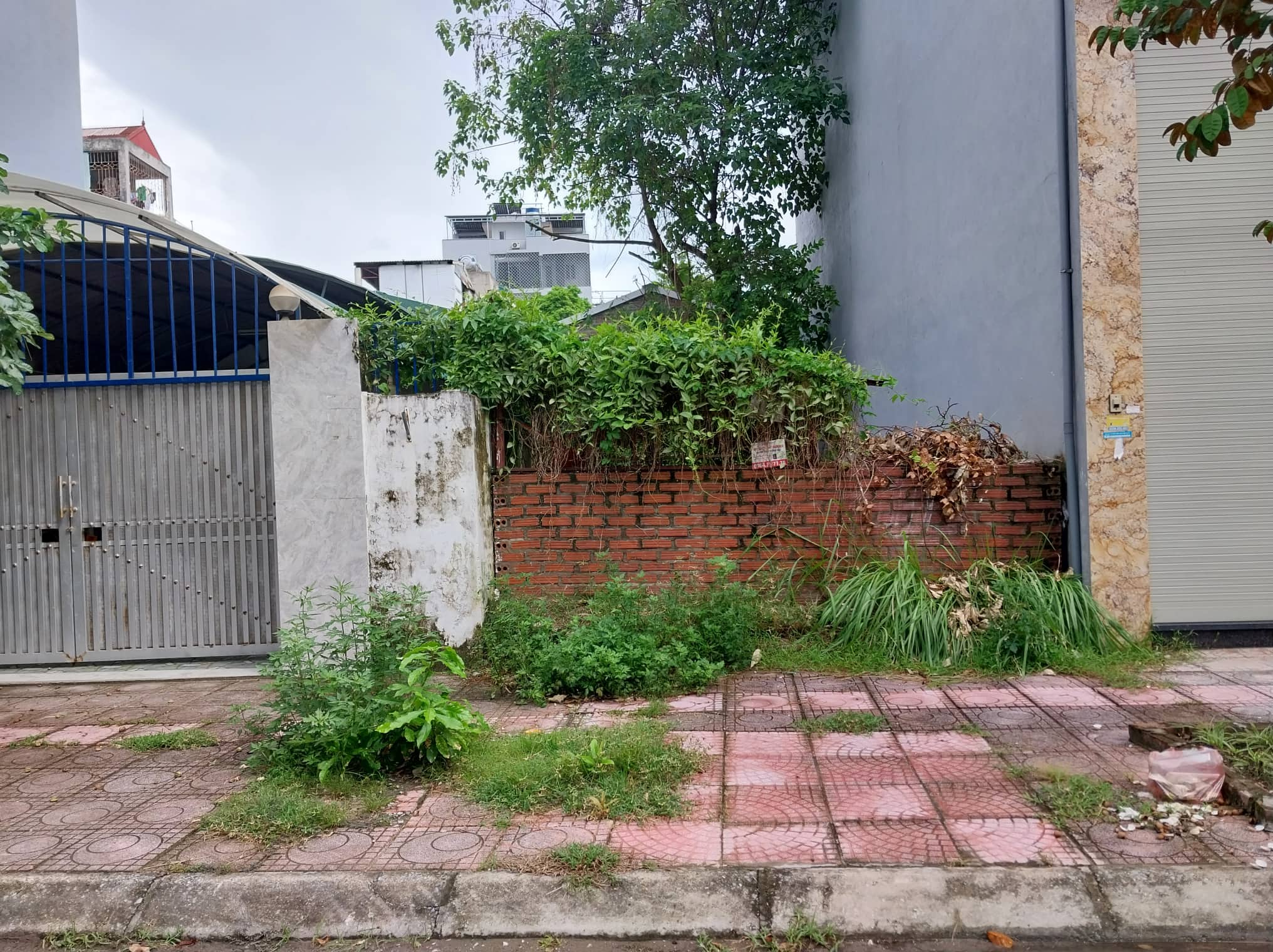 Bán Đất Ngõ 462 Ngọc Thụy, Long Biên, 108m2, MT5m, Phân Lô, Ô Tô, Kinh Doanh - Ảnh 3