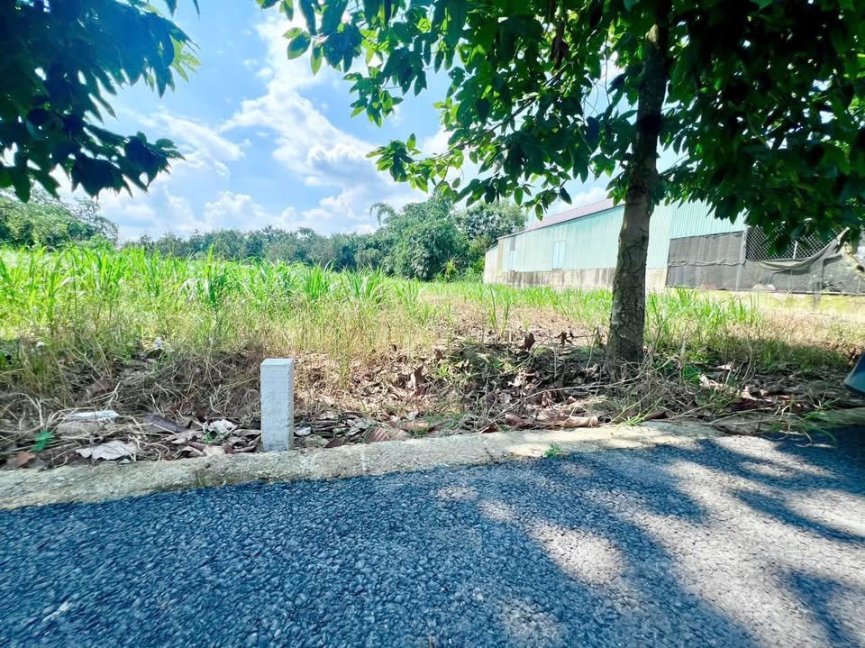 🏡 Đất 200m² thổ cư 100% giá 250 triệu, gần KCN, dân cư đông ⚡ - Ảnh 1