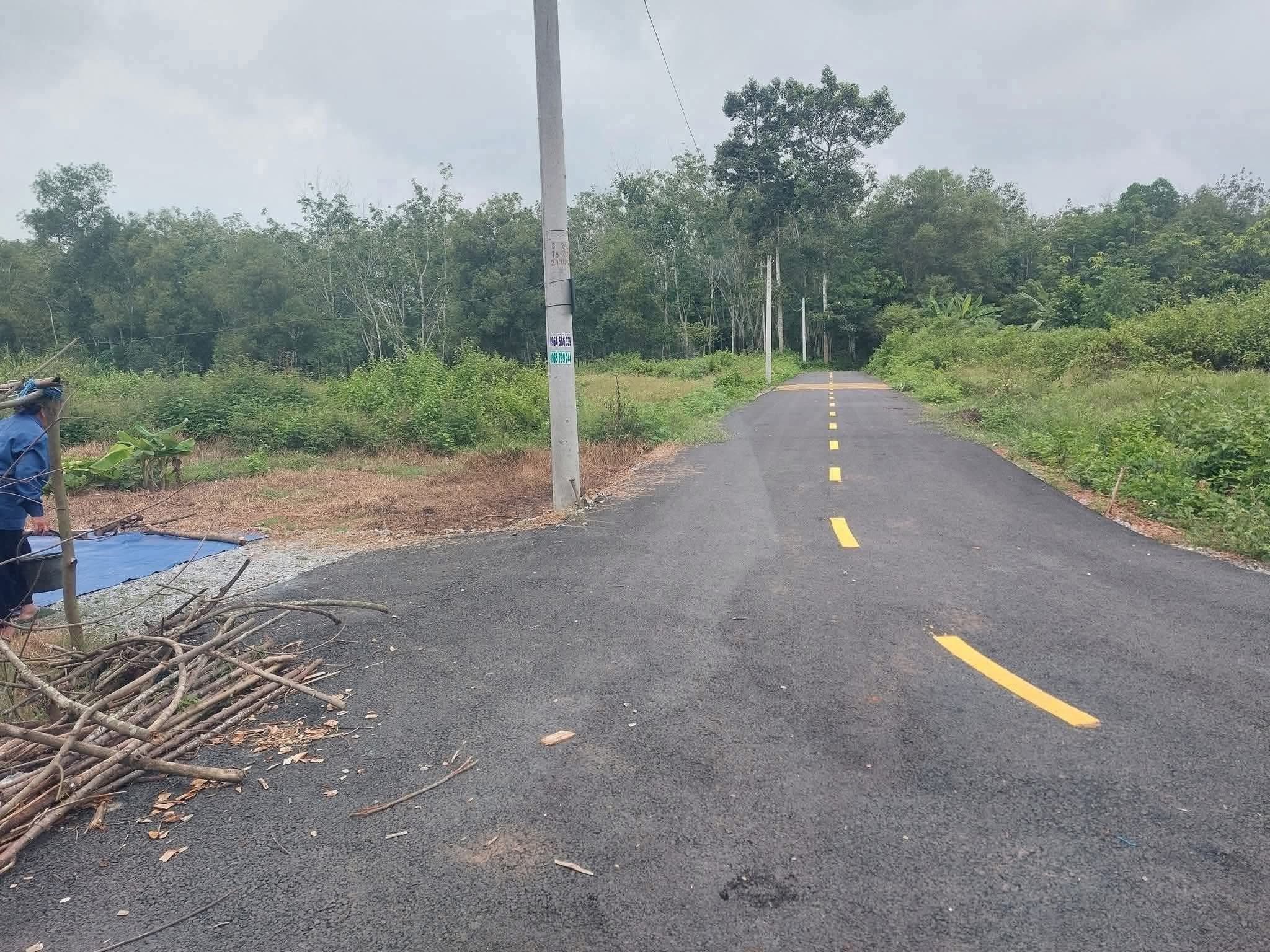 🏡 Đất 200m² thổ cư 100% giá 250 triệu, gần KCN, dân cư đông ⚡ - Ảnh 2