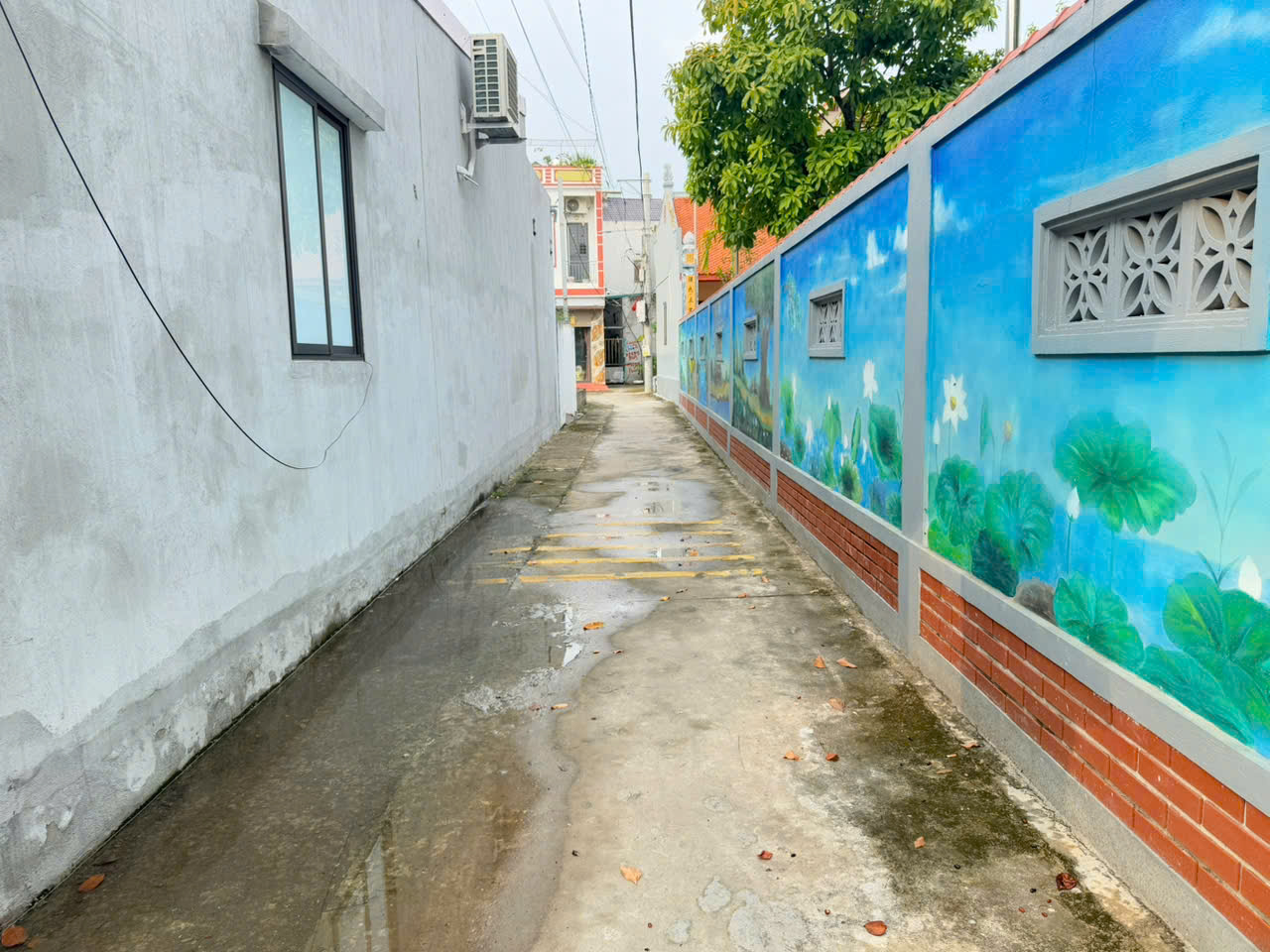 Đất đẹp tổ 5, Quang Minh, Mê Linh, HN. Gần KCN, oto đỗ cửa. DT 65m, giá 3,1 tỷ. - Ảnh 1