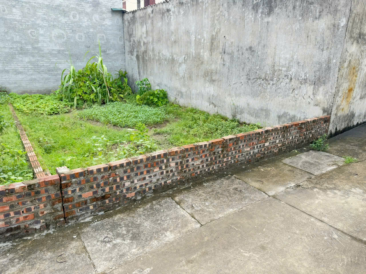 Đất đẹp tổ 5, Quang Minh, Mê Linh, HN. Gần KCN, oto đỗ cửa. DT 65m, giá 3,1 tỷ. - Ảnh 2