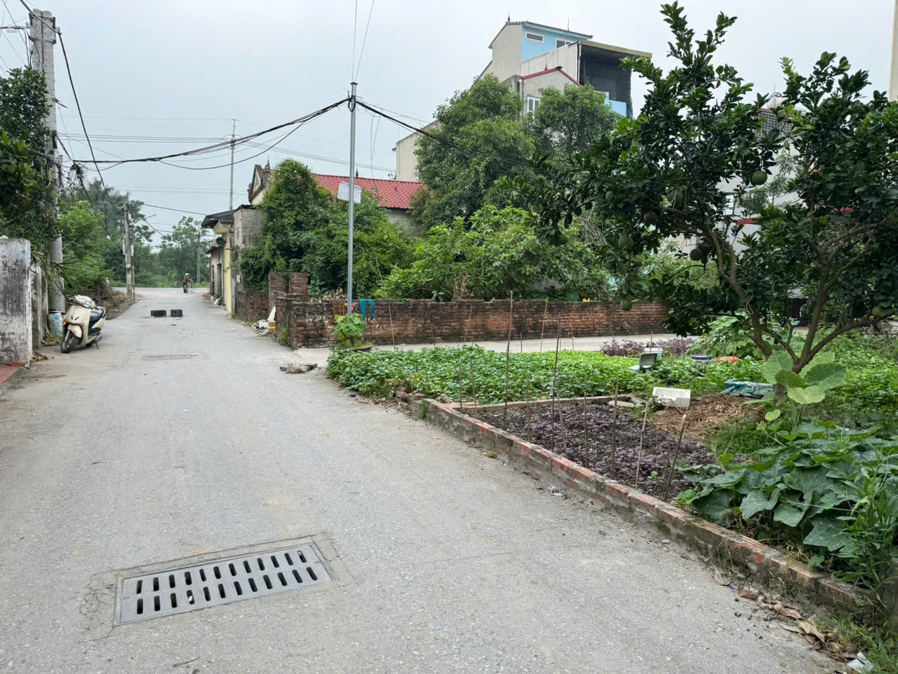 Bán đất thổ cư 86m², hướng Đông Nam, trung tâm Chi Đông, Mê Linh, Hà Nội - Ảnh chính