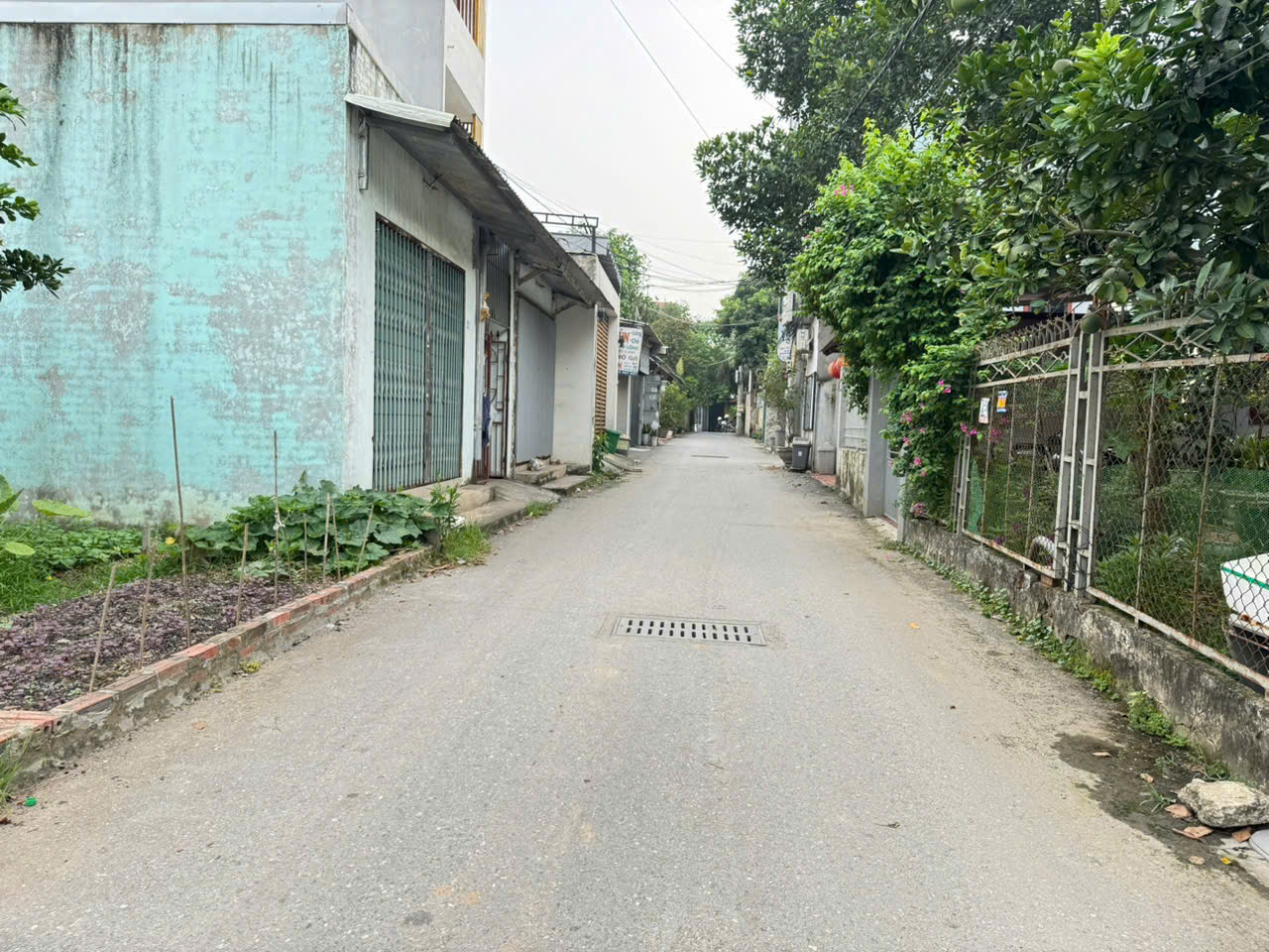 Bán đất thổ cư 86m², hướng Đông Nam, trung tâm Chi Đông, Mê Linh, Hà Nội - Ảnh 2