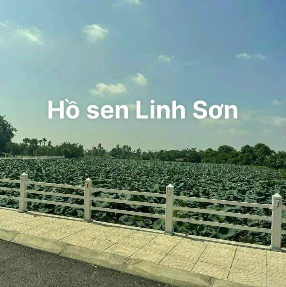SIÊU PHẨM 100M2 GẦN NGÃ 3 HÒA LẠC - Ảnh chính
