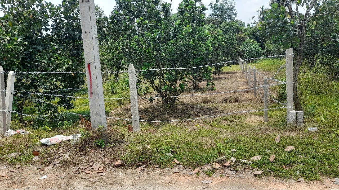 ĐẤT ĐẸP - GIÁ TỐT - Bán GẤP Lô Đất Tiềm Năng Tại xã Mỹ Đức, tỉnh Lâm Đồng - Ảnh 2
